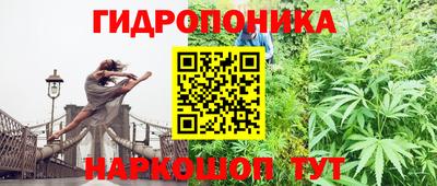 дурь Камышлов