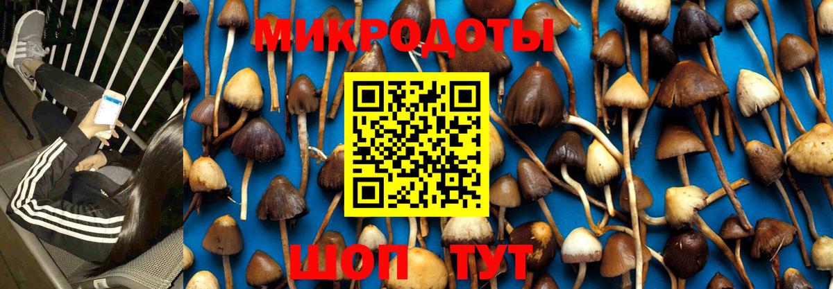 Галлюциногенные грибы прущие грибы  наркотики  Зима  Вход с VPN 