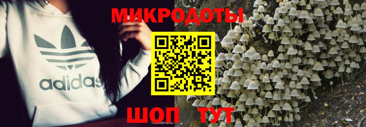 Галлюциногенные грибы прущие грибы Зима